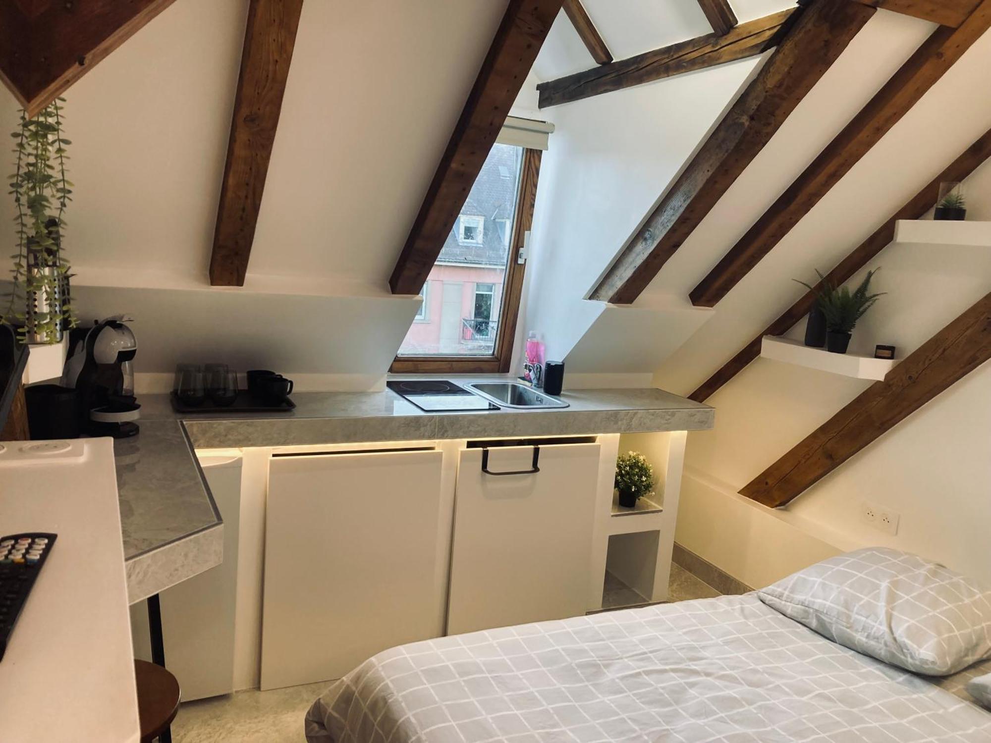 Ferienwohnung Petit Nid Sympa A Straßburg Exterior foto